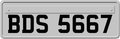 BDS5667