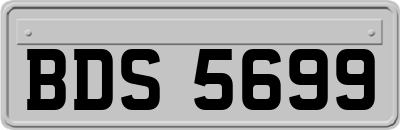 BDS5699