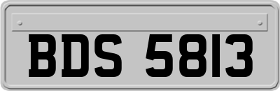 BDS5813