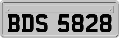 BDS5828