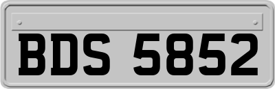 BDS5852
