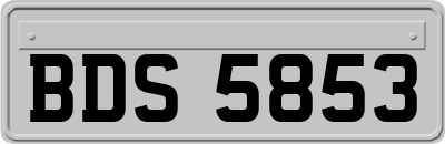 BDS5853