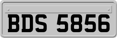 BDS5856