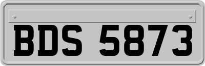 BDS5873