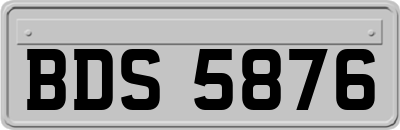BDS5876