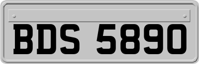 BDS5890