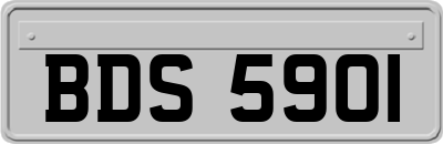 BDS5901
