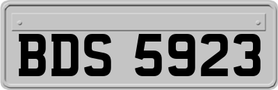 BDS5923