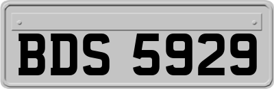 BDS5929