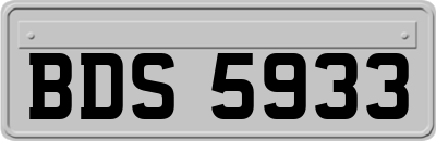 BDS5933