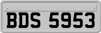 BDS5953