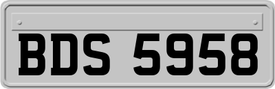 BDS5958