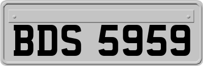 BDS5959