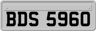 BDS5960