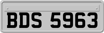 BDS5963