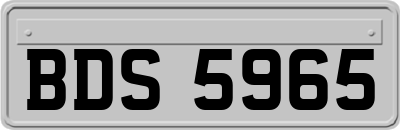 BDS5965