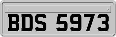 BDS5973
