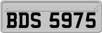 BDS5975