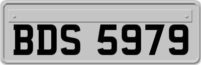 BDS5979