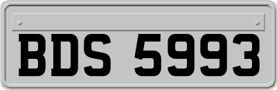 BDS5993