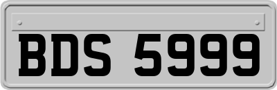 BDS5999