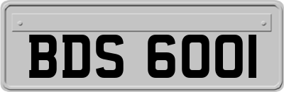 BDS6001