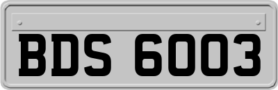 BDS6003