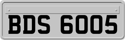 BDS6005