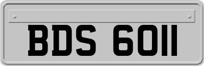 BDS6011