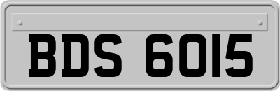 BDS6015