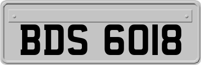 BDS6018