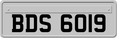 BDS6019