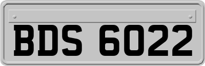 BDS6022