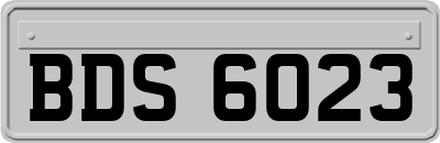 BDS6023