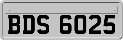 BDS6025