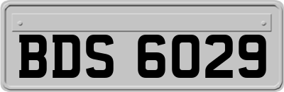 BDS6029