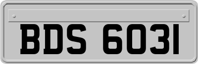 BDS6031