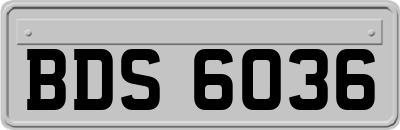 BDS6036