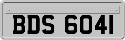 BDS6041