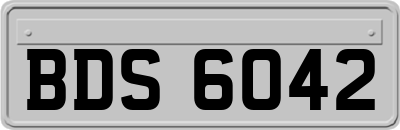 BDS6042