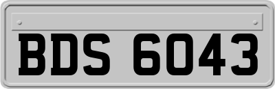 BDS6043
