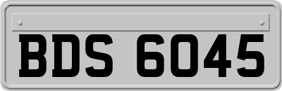 BDS6045