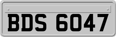 BDS6047