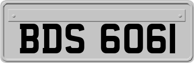 BDS6061