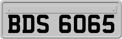 BDS6065