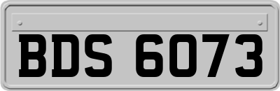 BDS6073