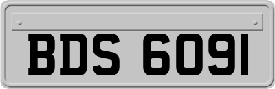 BDS6091