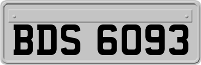 BDS6093