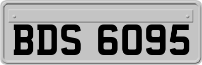 BDS6095