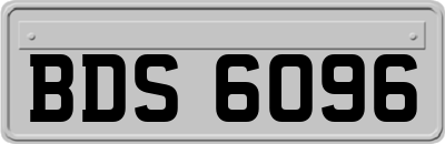 BDS6096